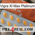 Vigra Xl Max Platinum 43